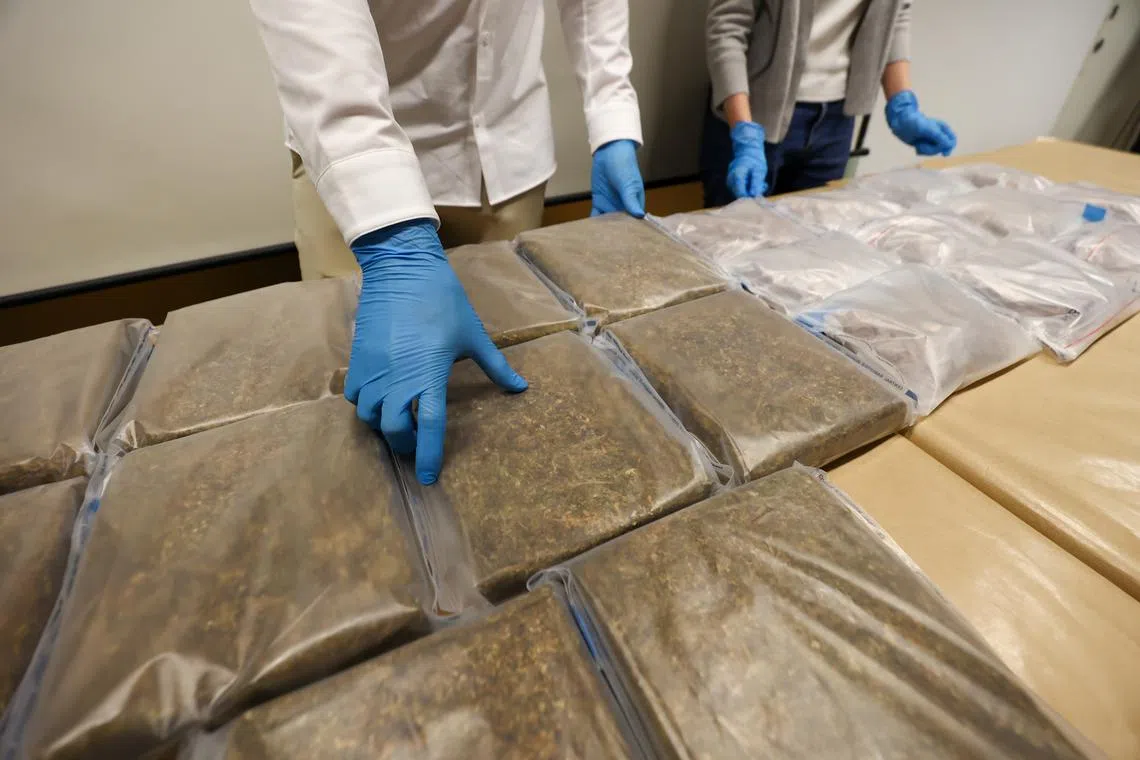 More than half of the new abusers arrested were below the age of 30. 