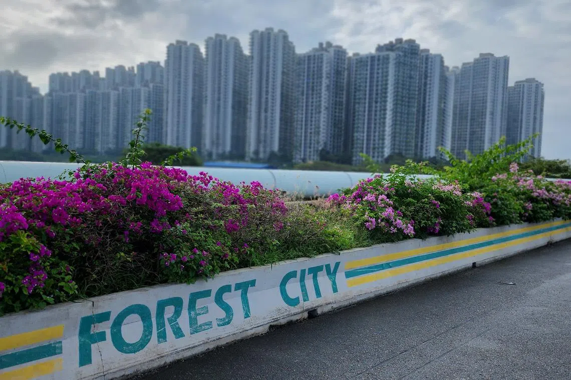 Malaysia has passed regulations that will declare Pulau Satu island in Forest City a full duty-free zone as part of efforts to revive the struggling megacity. 