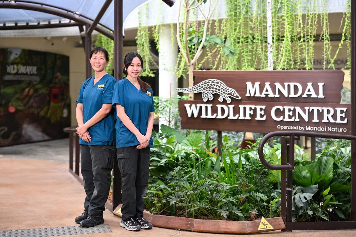 Head of Mandai Wildlife Centre, Dr Charlene Yeong, and Junior Veterinary Nurse Nadhrah Binte Hassan, in front of the new Mandai Wildlife Centre on July 2.