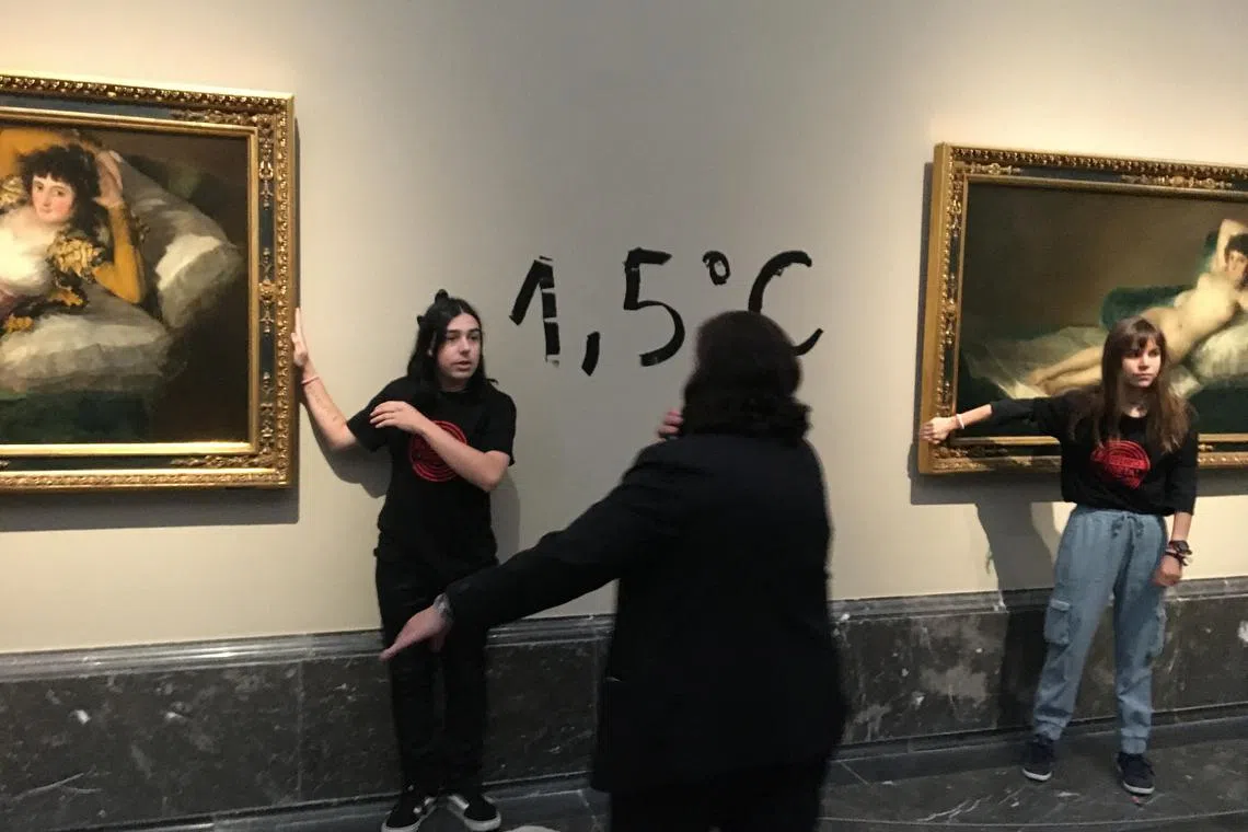 Campaign group Futuro Vegetal said its members carried out the protest.