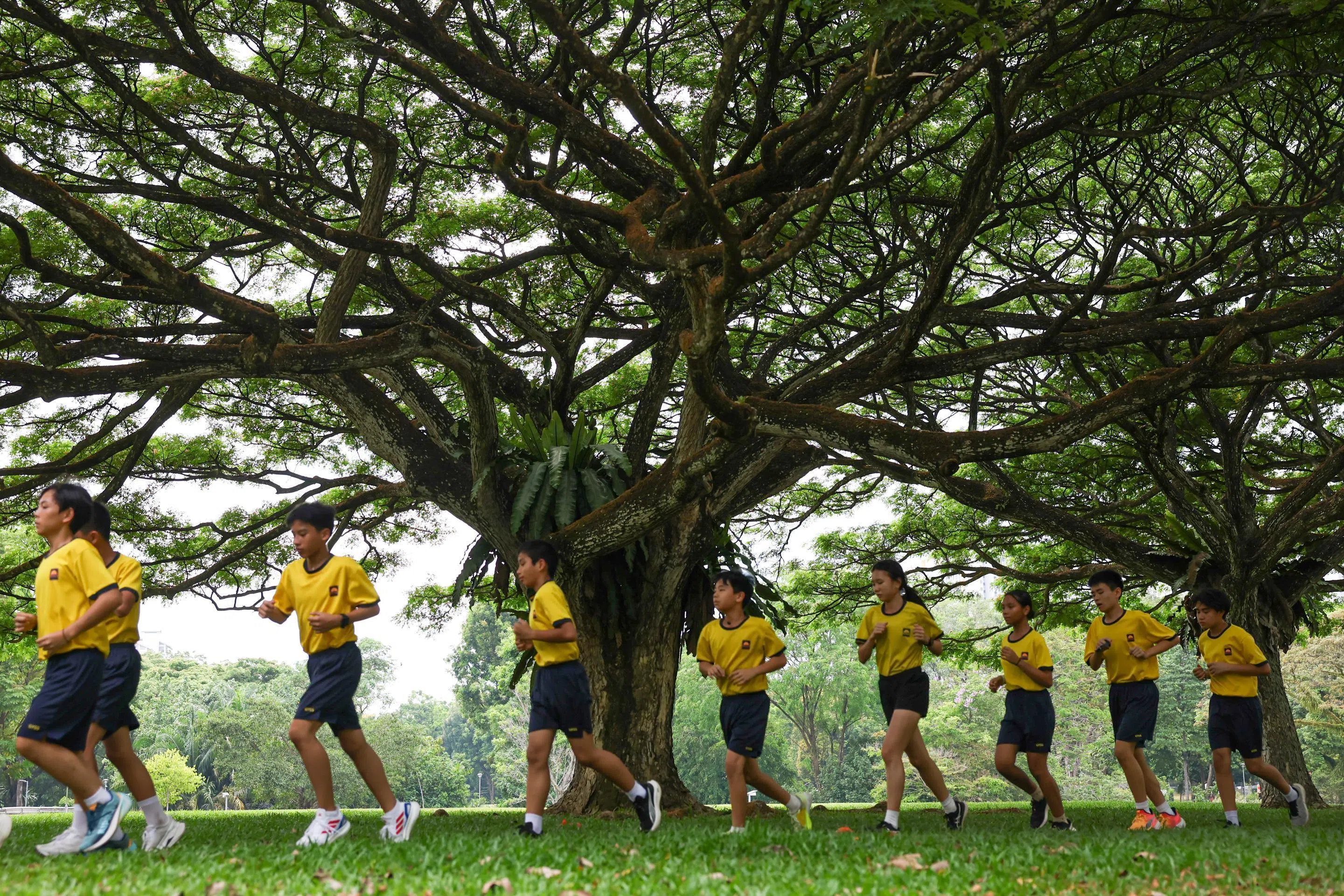 Guangyang Secondary School students running under a rain tree to avoid the sun at Bishan-Ang Mo Kio Park on March 26.