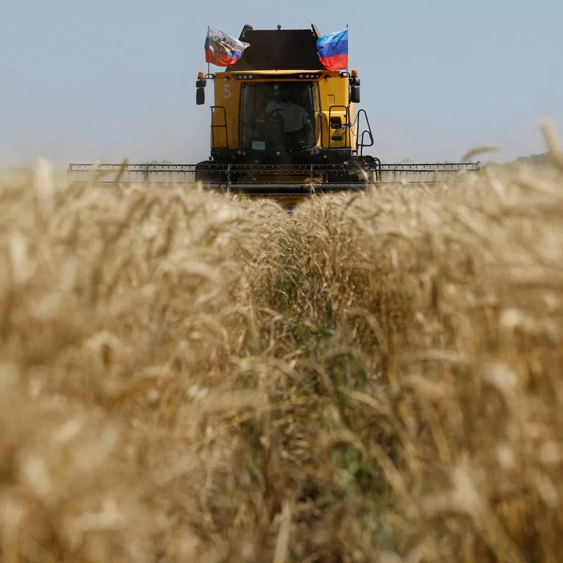 A farmer operates a combine during the start of the wheat harvesting campaign in a field near the town of Starobilsk (Starobelsk) in the Luhansk Region, a Russian-controlled area of Ukraine, July 9, 2025. REUTERS/Alexander Ermochenko