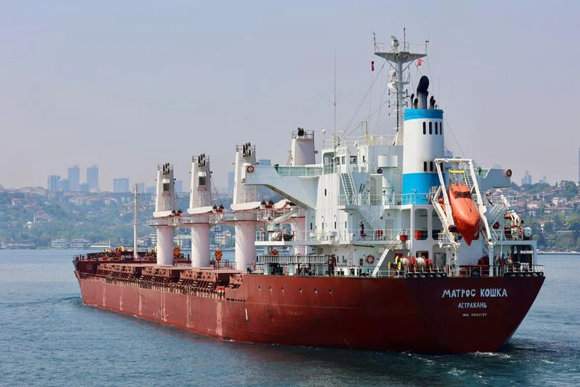 Russian-flagged bulk carrier Matros Koshka sails in the Bosphorus, on its way to the Mediterranean Sea, in Istanbul, Turkey May 27, 2022. Picture taken May 27, 2022. REUTERS/Yoruk Isik/File photo