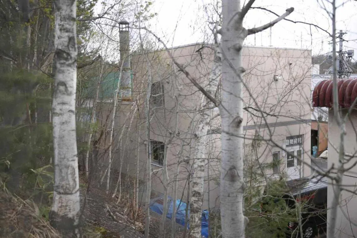 The man allegedly used the zoo's incinerator, meant to dispose of waste and dead animals, to burn the woman's body for several hours.