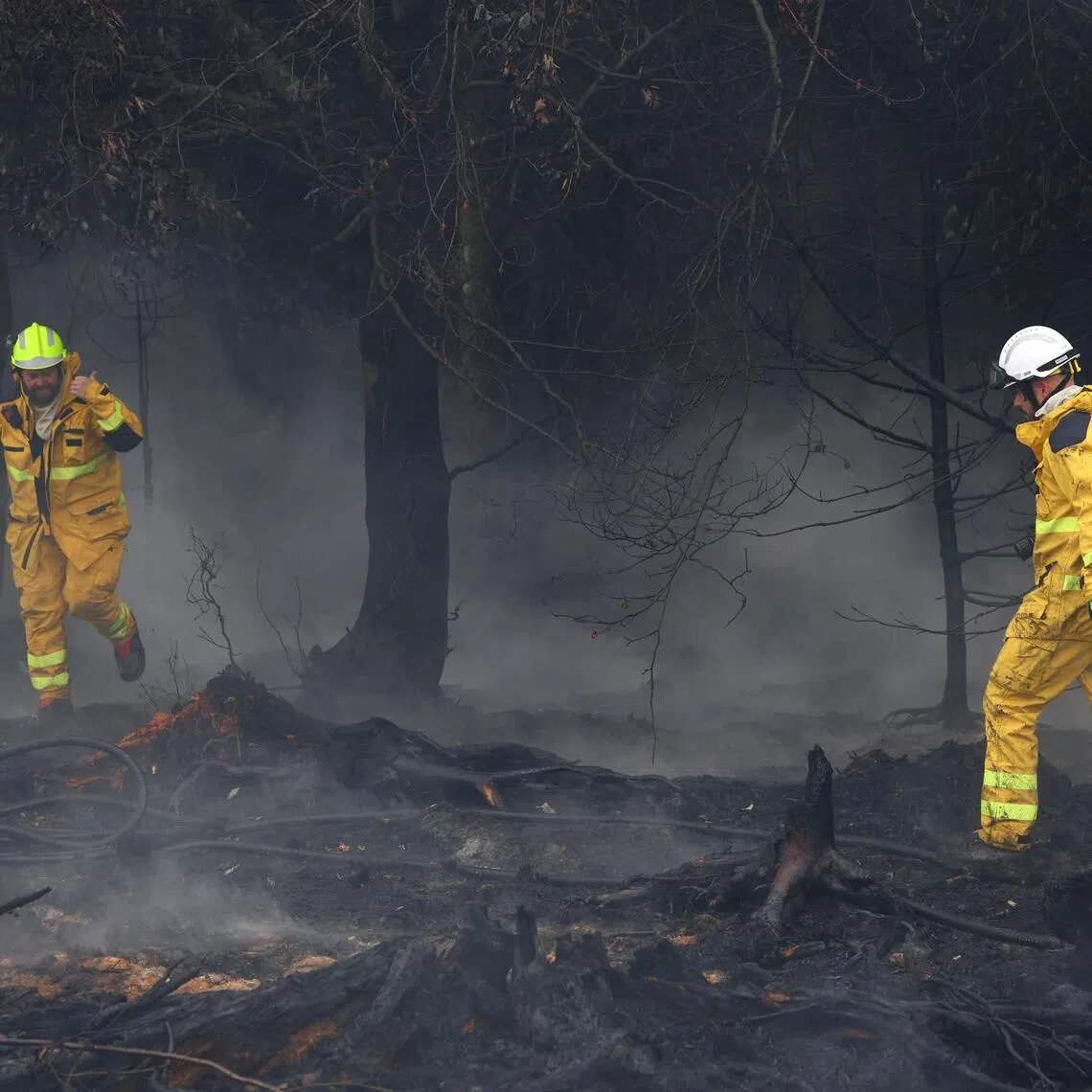 Around 500 firefighters and emergency crews have mobilised to contain the blaze, which broke out on Aug 14 for reasons still unknown in the High Fens park.