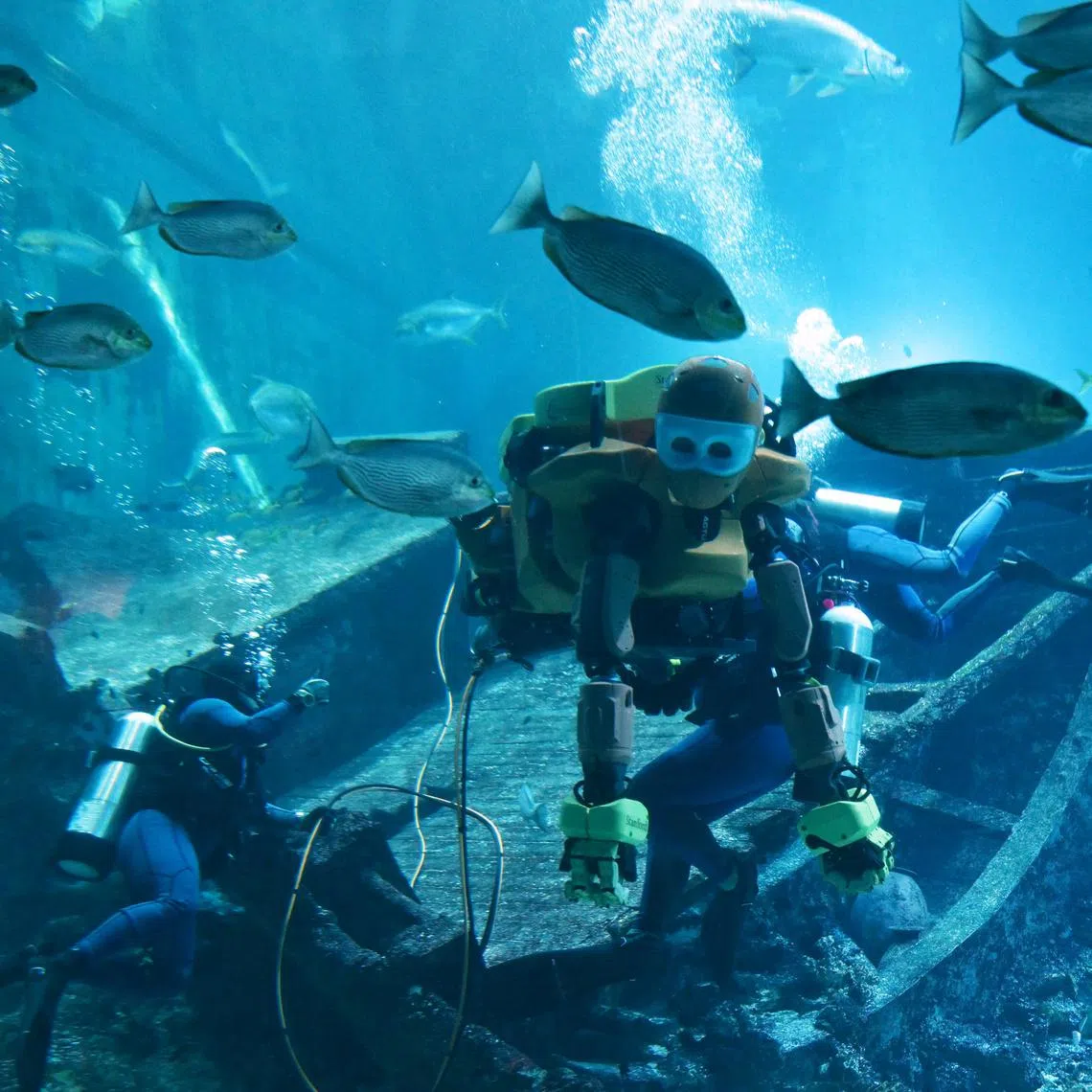 OceanOneK, Stanford University's underwater robotic avatar, took to the Singapore Oceanarium's Shipwreck Habitat like a seasoned diver on May 6, 2026. It is controlled by a human operator using technology that enables the operator to "feel" the underwater environment.