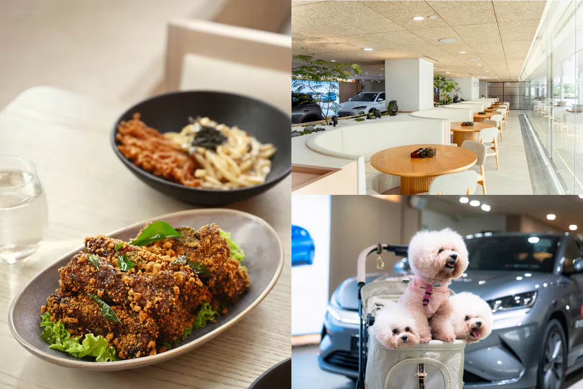 Food and electric vehicles at BYD by 1826 in IMM.