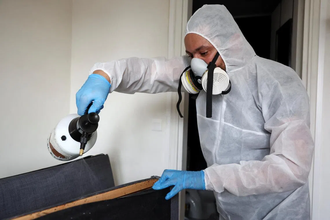Salim Dahou, biocide technician of the company Hygiene Premium, sprays insecticide against bedbugs on a sofa bed in L'Hay-les-Roses, near Paris, France, September 29, 2023. REUTERS/Stephanie Lecocq