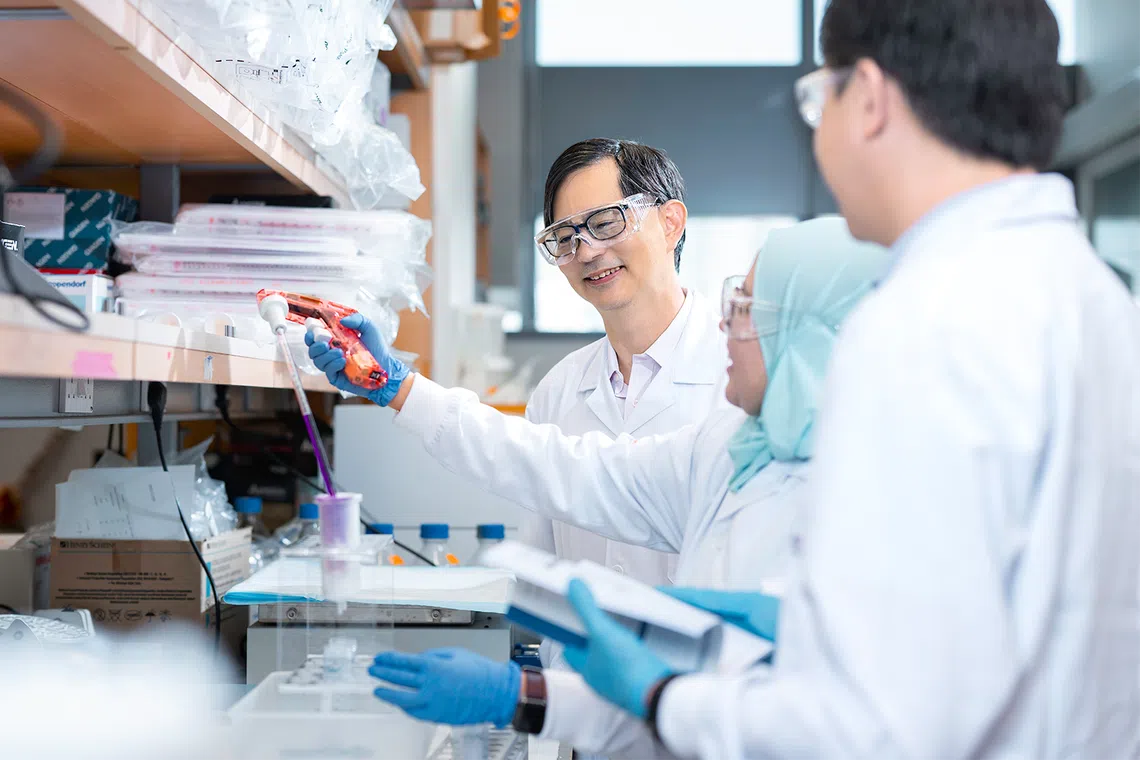 Professor Patrick Tan in his Duke-NUS lab, where groundbreaking cancer genetics research translates into clinical trials with real-world impact.