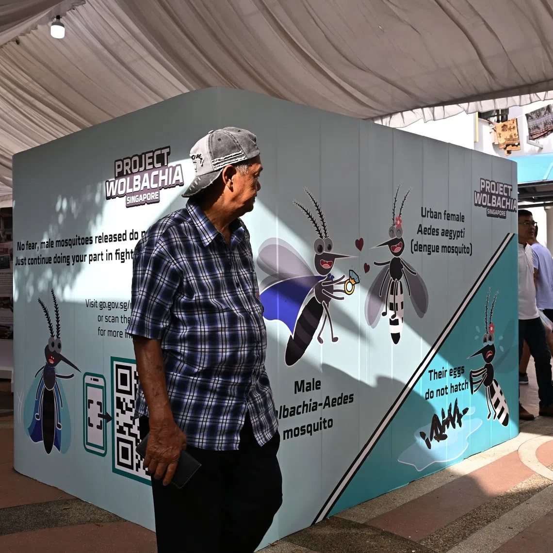 The Project Wolbachia expansion will increase its total coverage from 580,000 households to 660,000 households in Singapore.