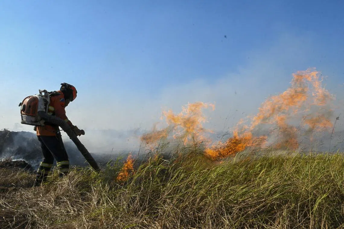 The six-month state of emergency was declared by the state of Mato Grosso do Sul, home to much of the wetlands in Brazil.