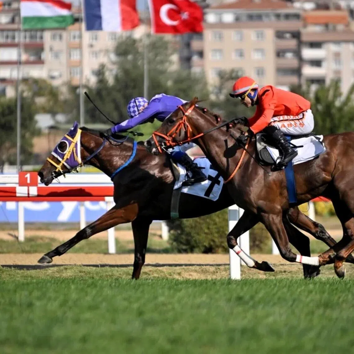 Whizbang (Sadettin Boyraz) holding Charabanc (Vedat Abis) off by a neck to win the Group 3 Topkapi Trophy (1,600m) at Veliefendi racecourse in Istanbul on Sept 6.

PHOTO: JOCKEY CLUB OF TURKEY
