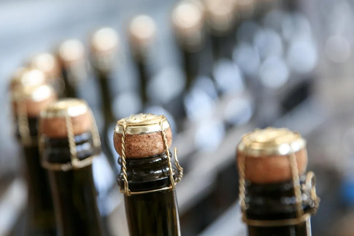 Bottles of Italian Prosecco wine move along a conveyor belt at Cantina Sociale Cooperative Agricola di Vittorio Veneto winery in Conegliano, Italy, on Friday, Nov. 6, 2015. Italy is set to reclaim its spot as the world's biggest wine producer after output in the home of Chianti and Prosecco rebounded from last year, when rain spoiled part of the grape crop. Photographer: Alessia Pierdomenico/Bloomberg
