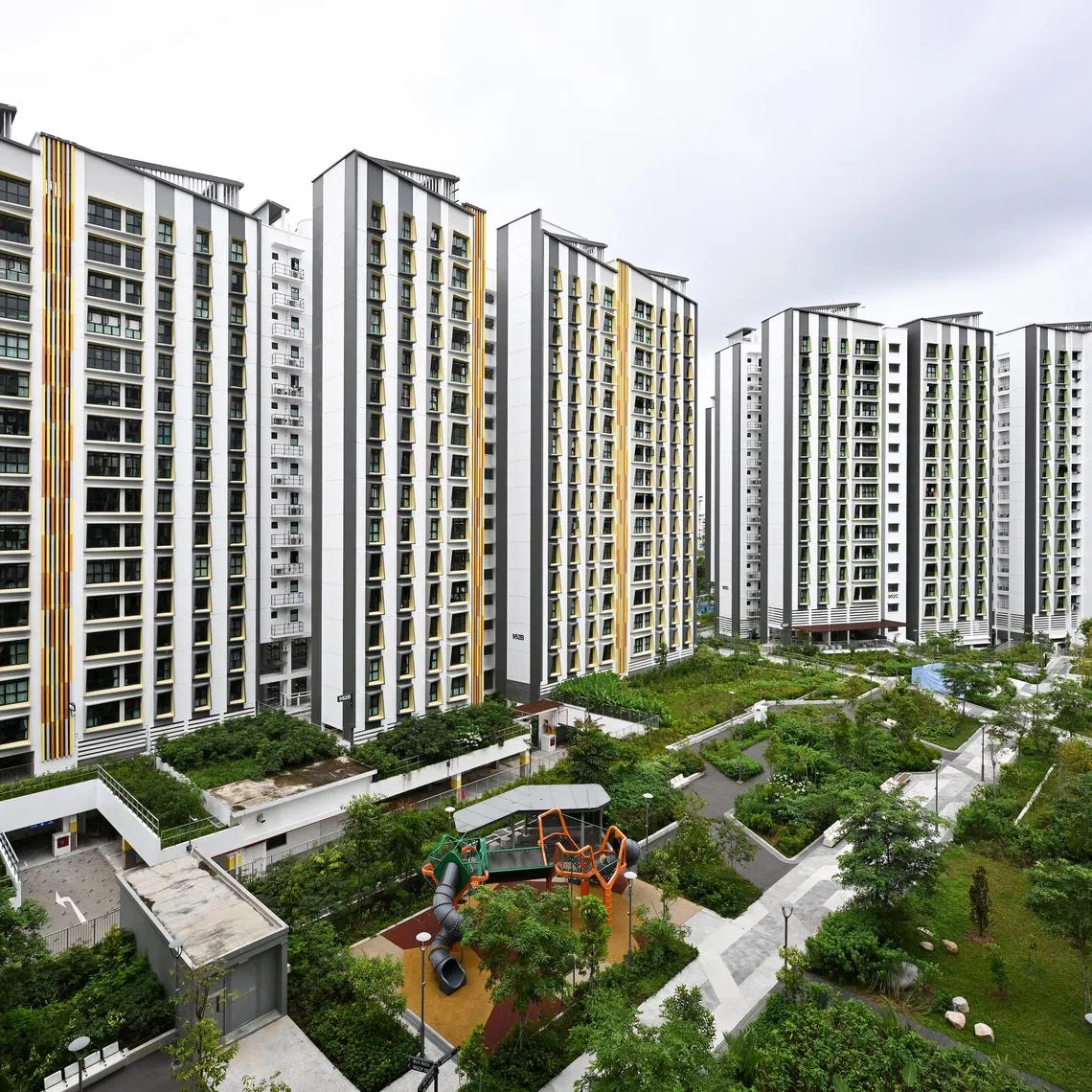ST20250122-202527400313-Lim Yaohui-pixgeneric/
[HDB] [HOUSING]
New blocks of Tampines GreenGem HDB BTO flats as viewed from Blk 953B Tampines Street 96 on Jan 22, 2025.
Can be used for stories on budget, money, invest, URA, property, land, housing, population, economy, and development.
(ST PHOTO: LIM YAOHUI)