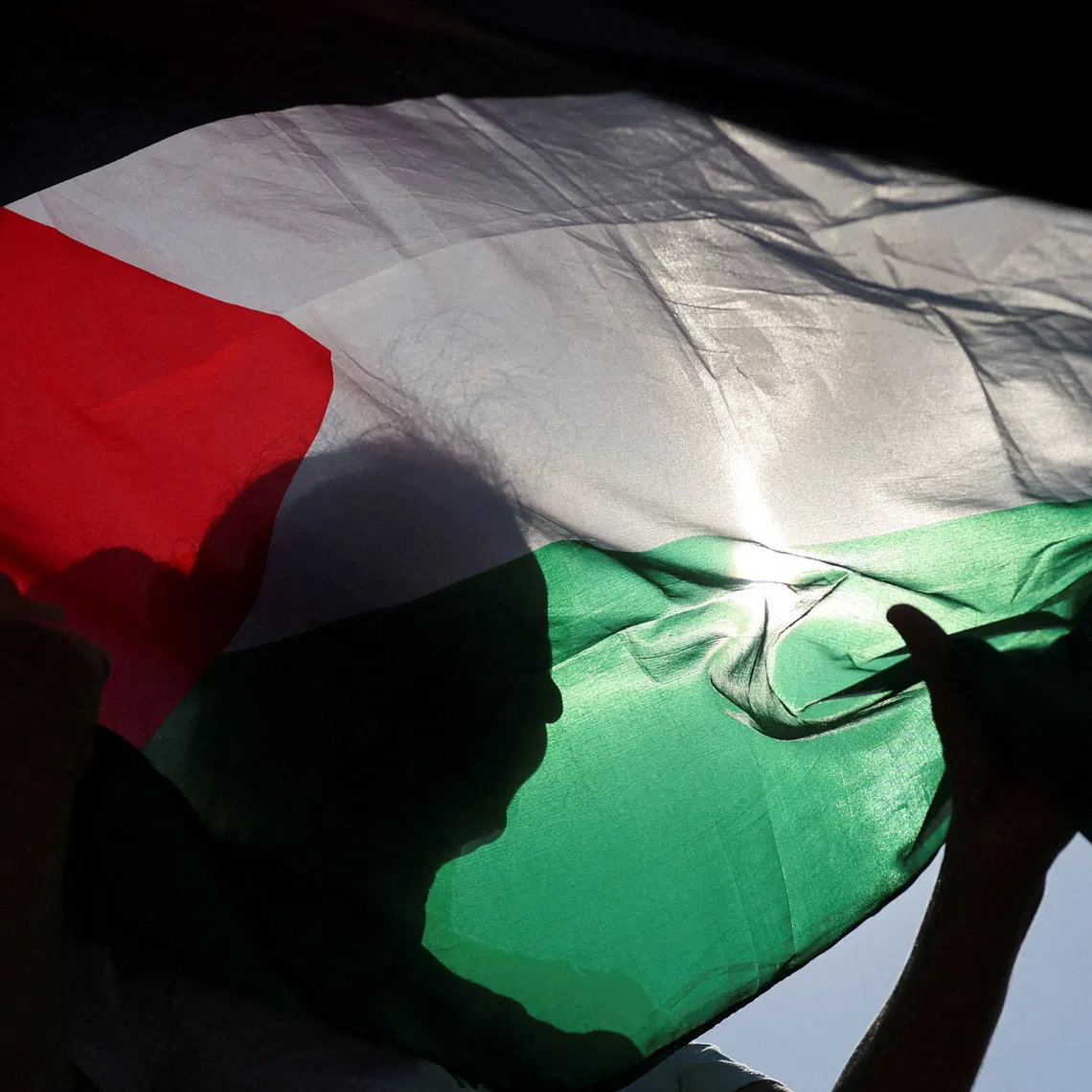 FILE PHOTO: A Palestinian flag is seen in this illustration. REUTERS/Yara Nardi/File Photo