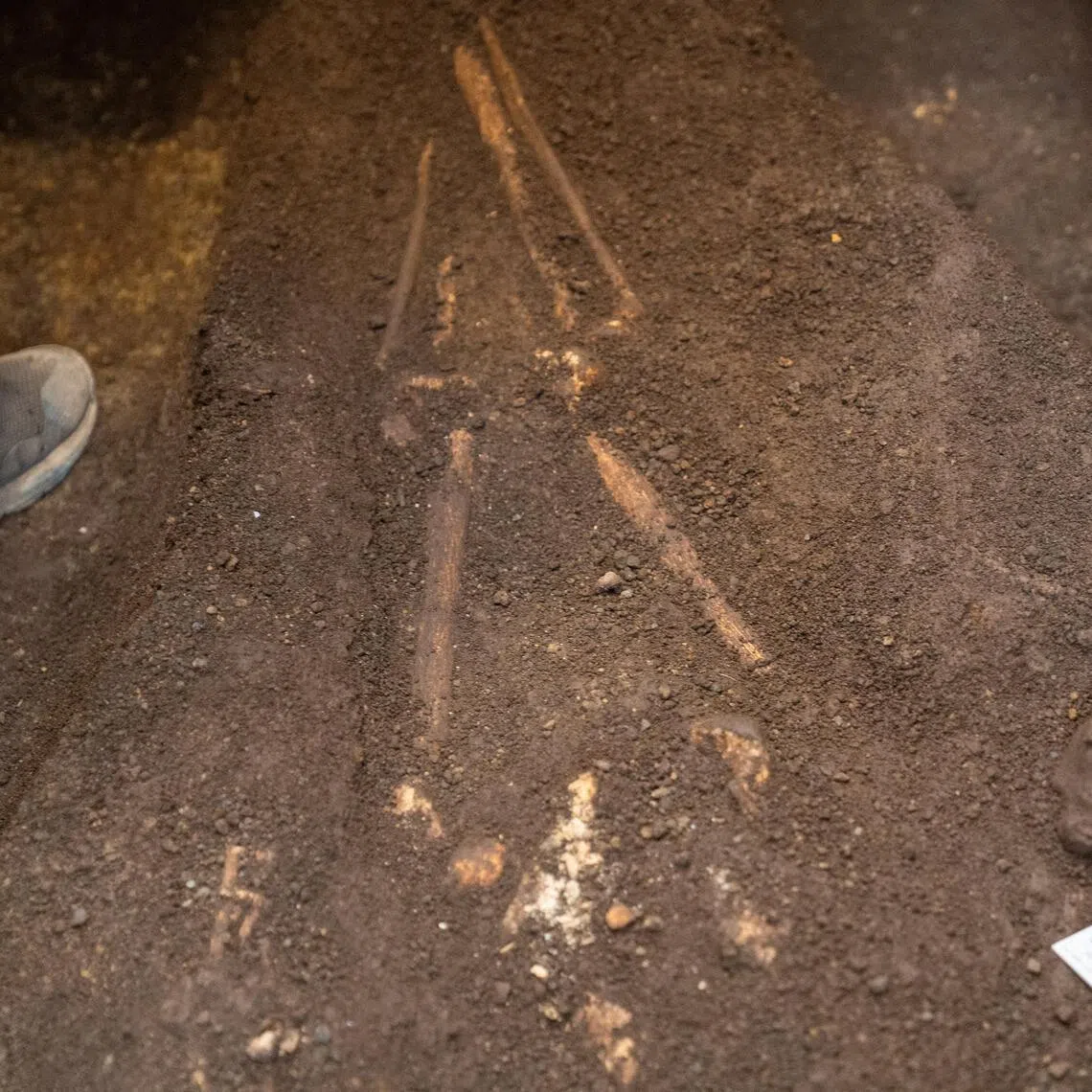 Archaeologists excavate and remove a pre-Hispanic burial, including human remains and associated artifacts such as a turtle-shaped Usulutan ceramic vessel, at the Pasaje 4 archaeological site in Antiguo Cuscatlan, El Salvador, on July 3.