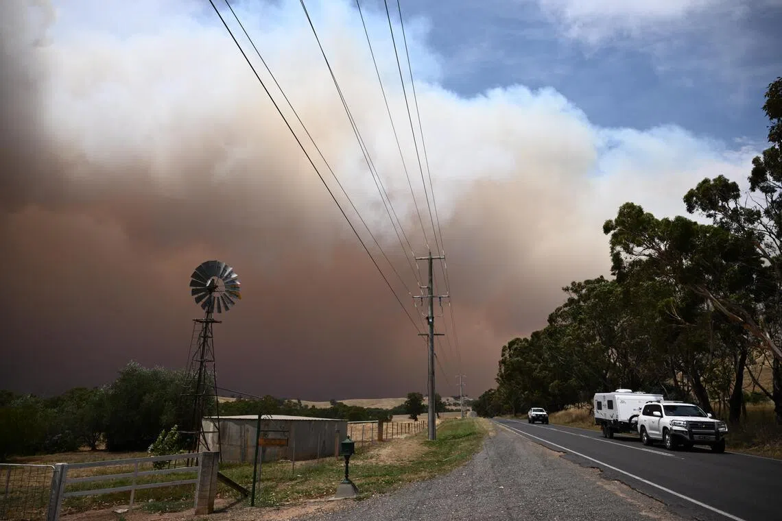 Smoke alert! Early detection cameras can prevent deadly, runaway bush fires in Australia