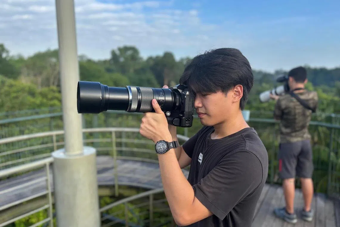 dlbird - Jayden using his prized Olympus E-M1X camera to snap a photo while bird watching. 
ST PHOTO: DILLON LOH