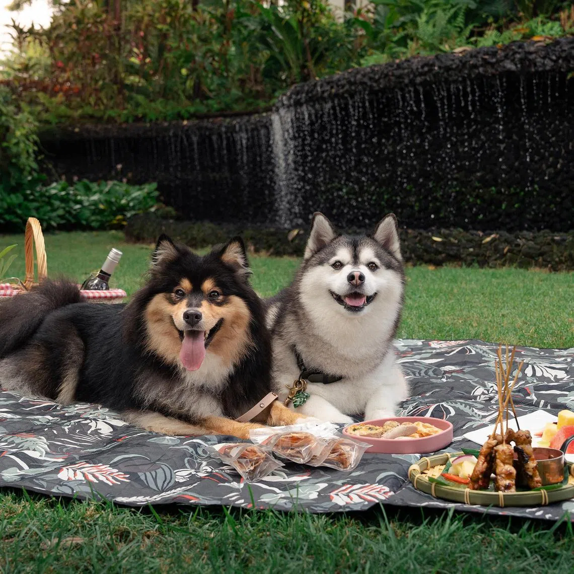 Family Pupnic Set at Amara Sanctuary Sentosa.