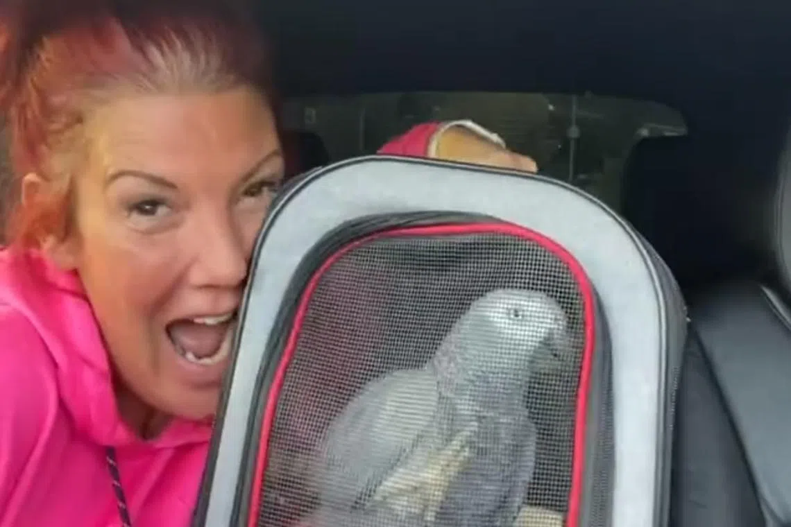 Sandra Hannah became a social media sensation during Britain’s first Covid-19 lockdown in 2020.