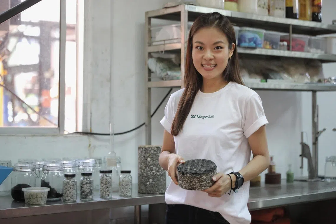 ST20221130_202229298779/Feline Lim/ccbitumen

Founder of startup Magorium, Ms Oh Chu Xian, 29, holding a sample of asphalt premix made using NEWBitumen at Senoko Avenue on 30 Nov 2022.