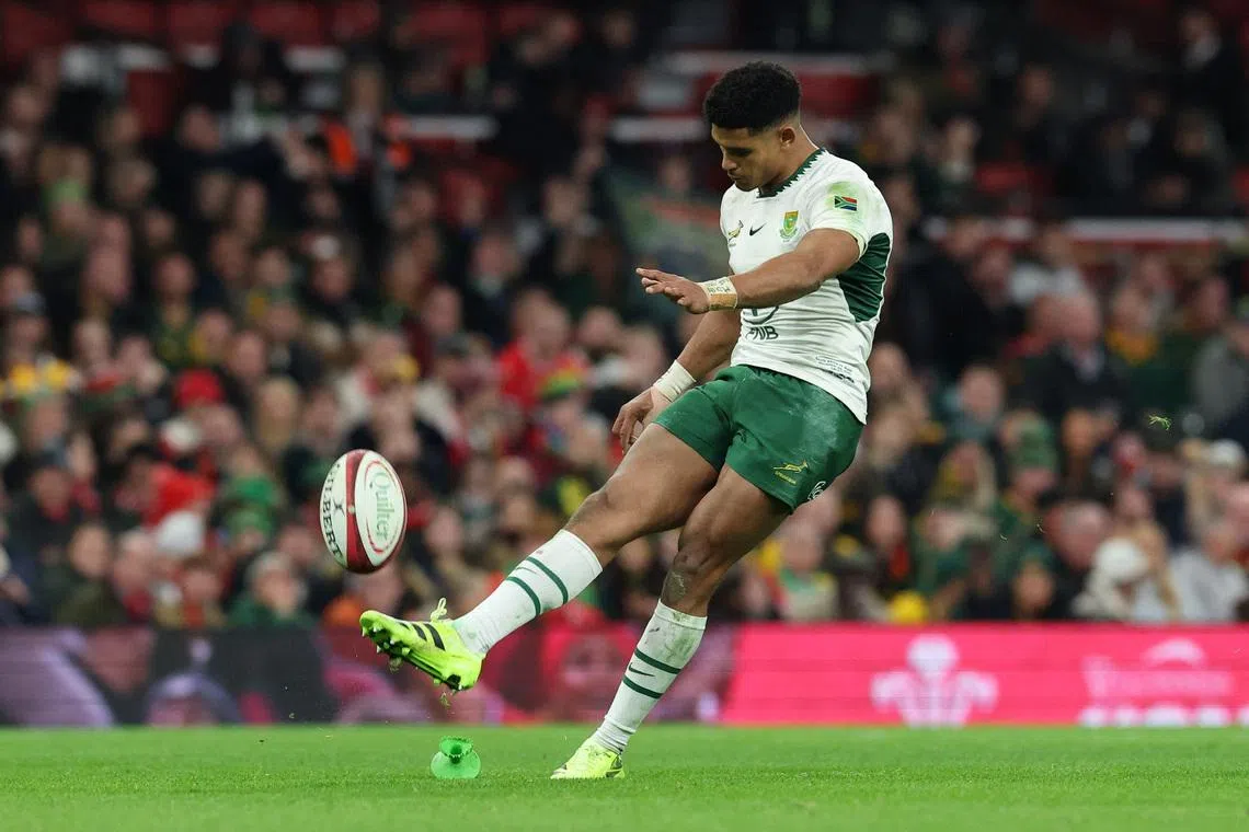 Erasmus confirms Feinberg-Mngomezulu will be fit to face Argentina