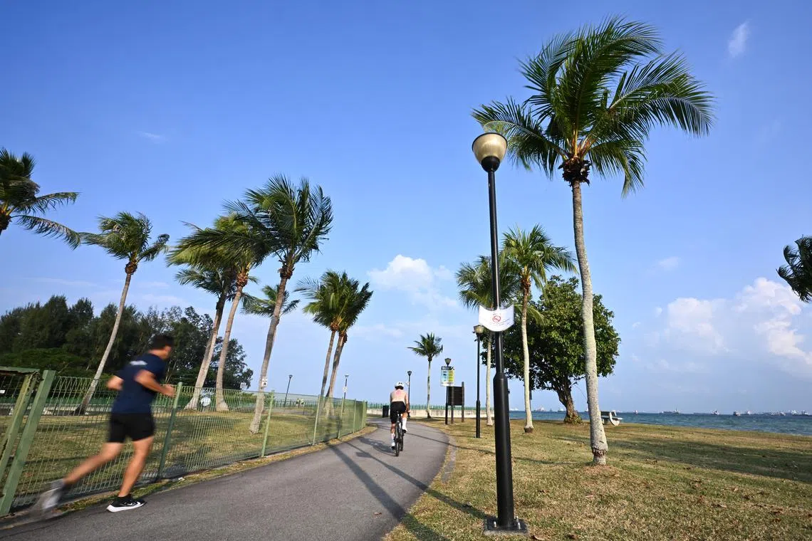 The incident took place in East Coast Park on the morning of Oct 22.