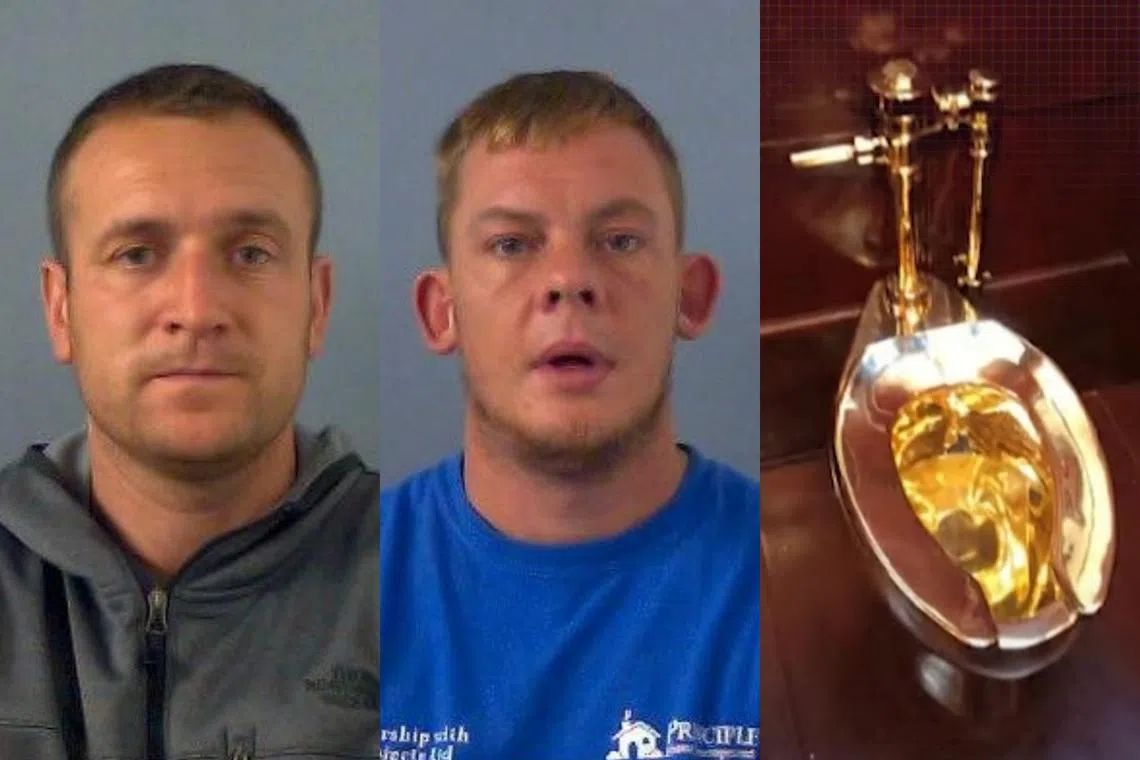 James Sheen (left) and Michael Jones have been jailed for stealing an 18-carat golden toilet - a fully functioning artwork - from Britain's Blenheim Palace, the birthplace of British wartime premier Sir Winston Churchill.