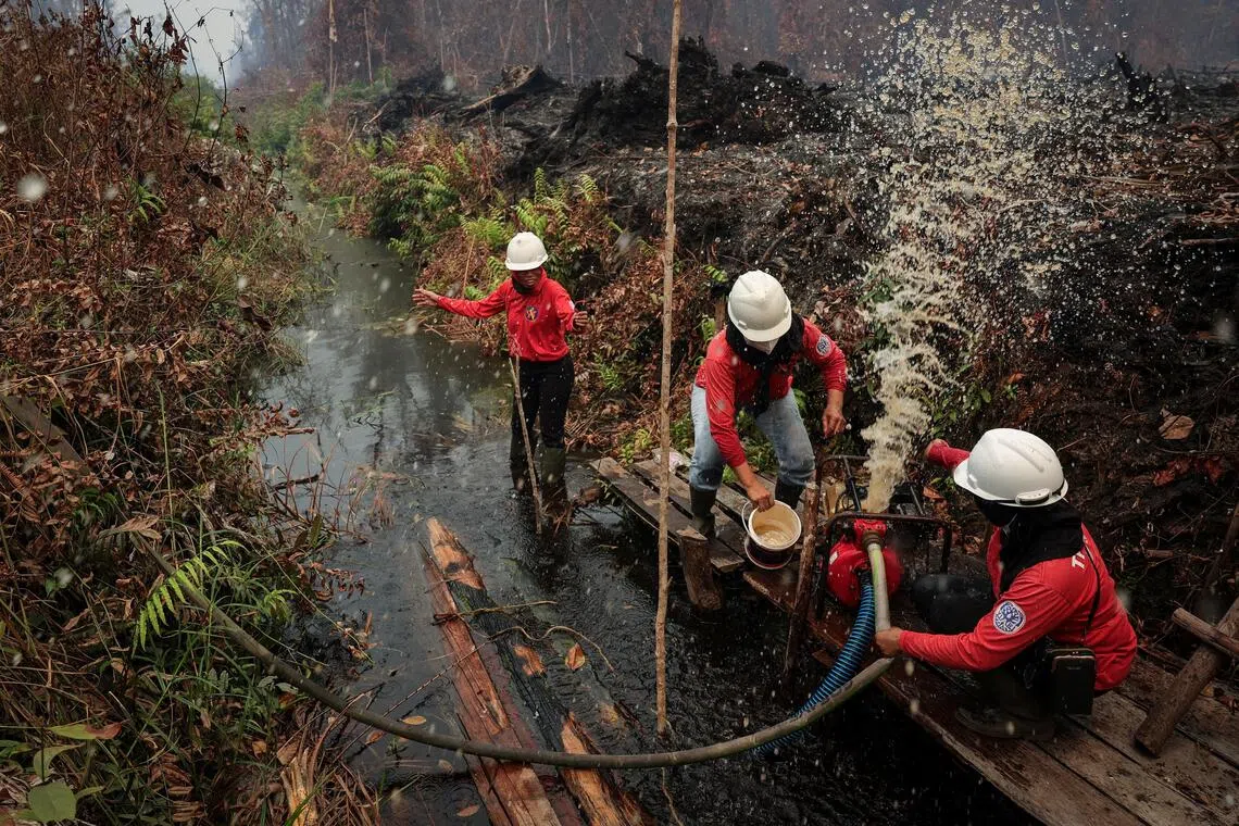 Prabowo’s direct oversight of peatlands could bolster battle against haze, analysts say