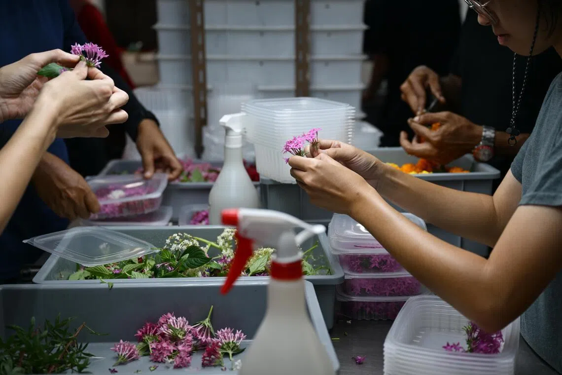 Experts say such community farms play a crucial role in building up robust food systems as they educate the public on how difficult it is to grow food.