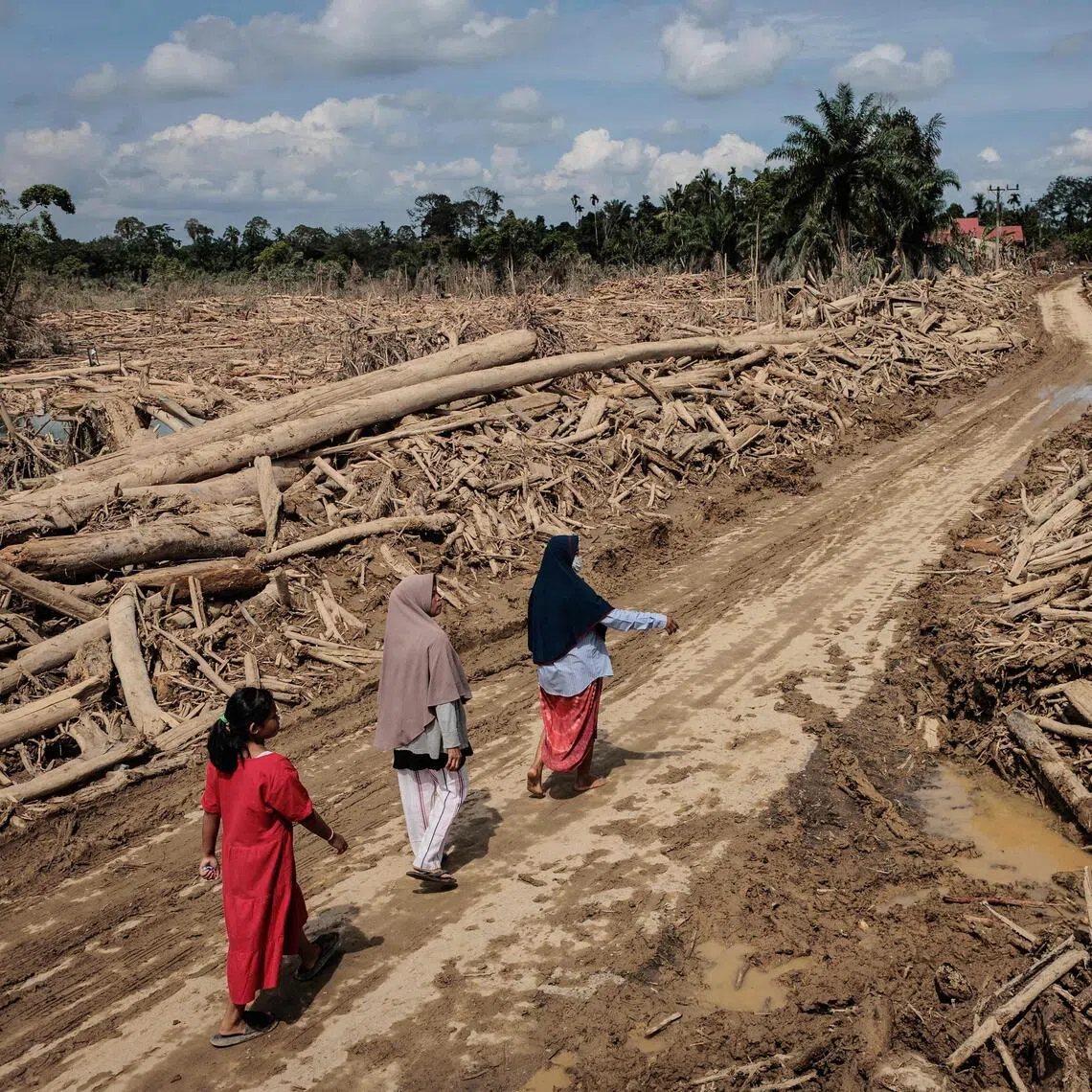 TOPSHOT - Women walk through a road cleared of uprooted trees in the aftermath of flash floods at Aceh Tamiang in Northern Sumatra on December 10, 2025. (Photo by Aditya Aji / AFP)