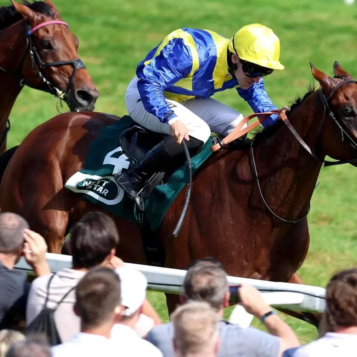 Francis-Henri - The Francis-Henri Graffard-trained Goliath going all the way in the Group 1 Grosser Preis von Baden (2,400m) in Baden-Baden on Sept 7, 2025.

PHOTO:  WETTSTAR.DE/MARC 
RUHL