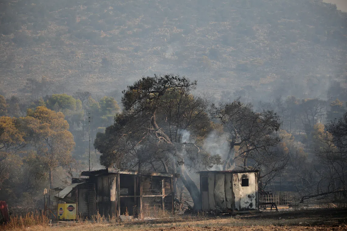 Destroyed buildings and scorched trees in an abandoned settlement after a wildfire passed through Veniza, in the Greek region of Boeotia.