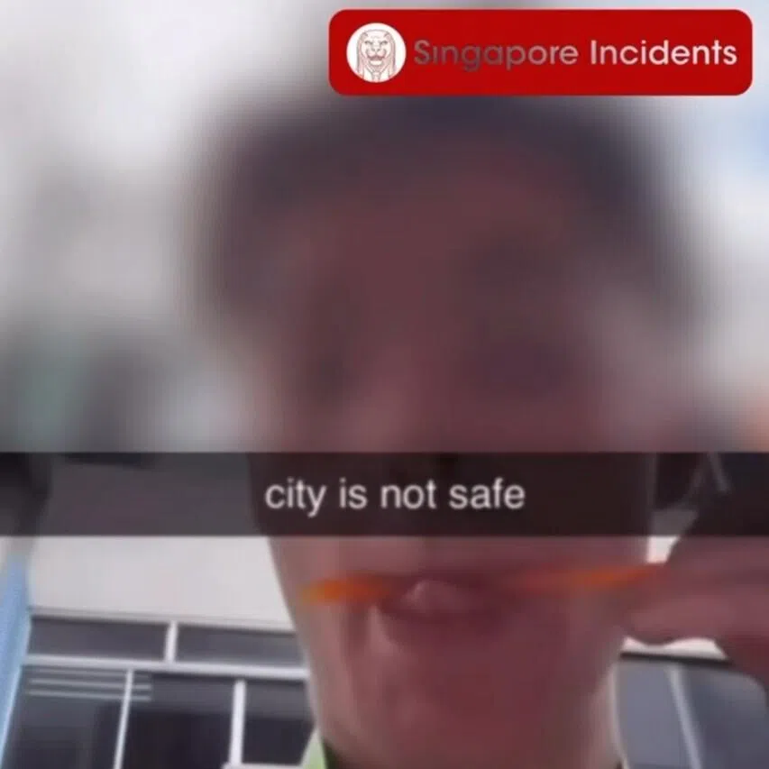 Didier Gaspard Owen Maximilien, 18, was also charged with being a public nuisance after he allegedly filmed himself performing the act and uploaded the clip on social media.