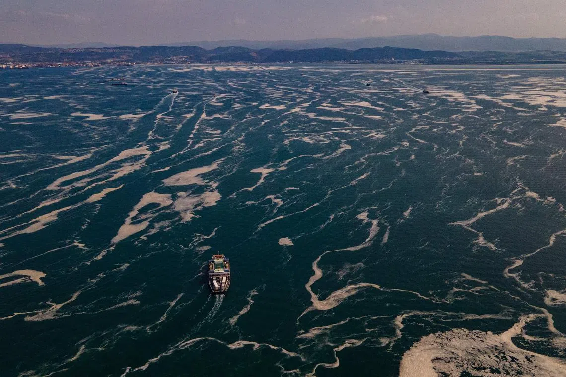 A new study found that what is still out of reach is limiting warming to 1.5 deg C.