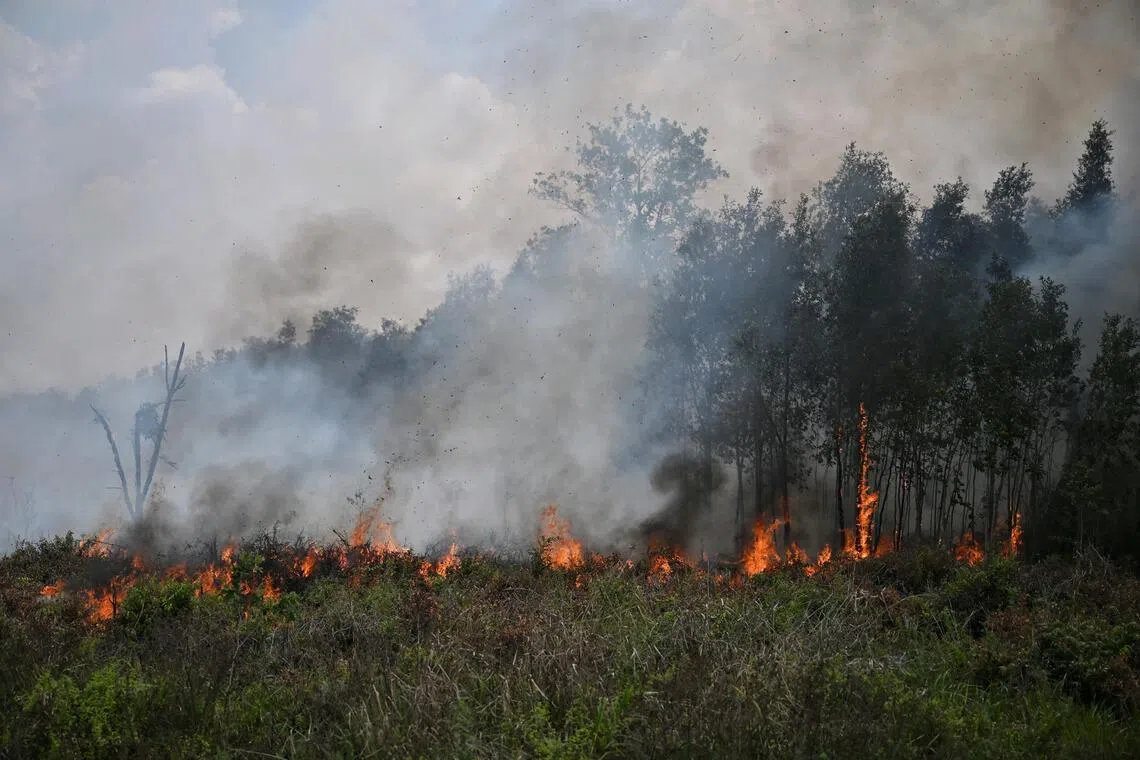 In 2026 alone, nearly 900,000 ha had burned by late August.
