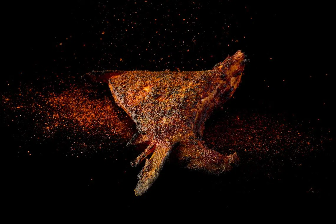 Hamachi collar from Revolver.