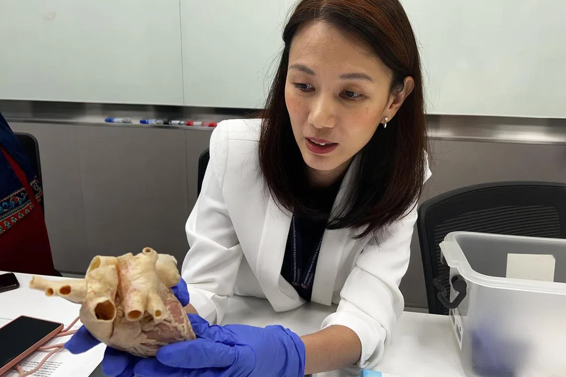juheart - Assistant Professor at Lee Kong Chian School of Medicine, Nanyang TechnologicalUniversity, Lynn Yap led the research when she was at Duke-NUS on the transplanting of “non-beating” stem cells into the damaged heart, cutting abnormal heartbeat by half.