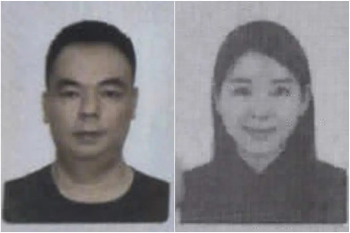 One of the four apartments at Wallich Residence that are going under the hammer is owned by Zhang Ruijin (left), who, along with his lover, Lin Baoying (right), was jailed for 15 months and then deported to Cambodia.