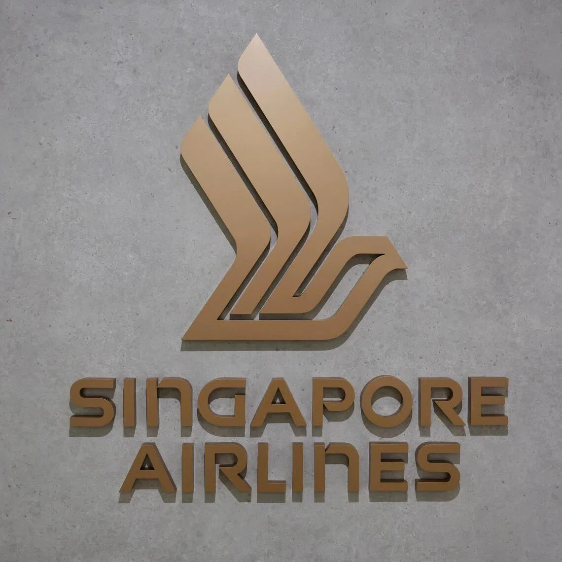 Singapore Airlines advises customers to secure their bank accounts, change their passwords, and file a police report, if needed.