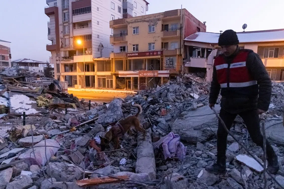 A rescue and search dog looks for people on the remains of a destroyed building in the aftermath of a deadly earthquake in Elbistan, Turkey, on Feb 14, 2023.