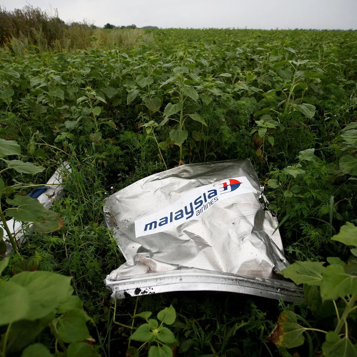 FILE PHOTO: Debris from a Malaysian Airlines Boeing 777 that crashed on Thursday lies on the ground near the village of Rozsypne in the Donetsk region July 18, 2014. REUTERS/Maxim Zmeyev/File Photo