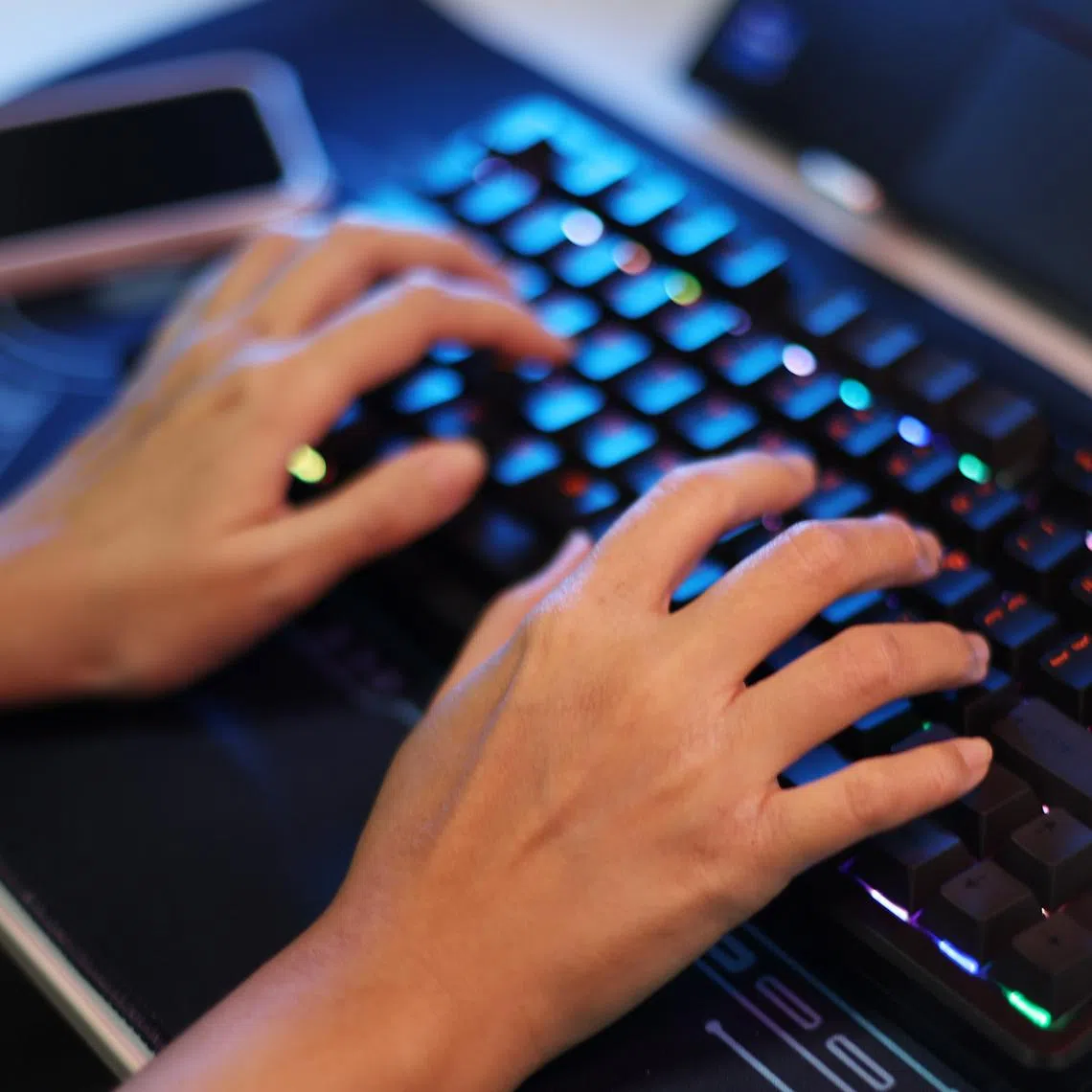 The arrests were carried out after officials discovered a website allegedly advertising sexual services involving foreign nationals in Bali.