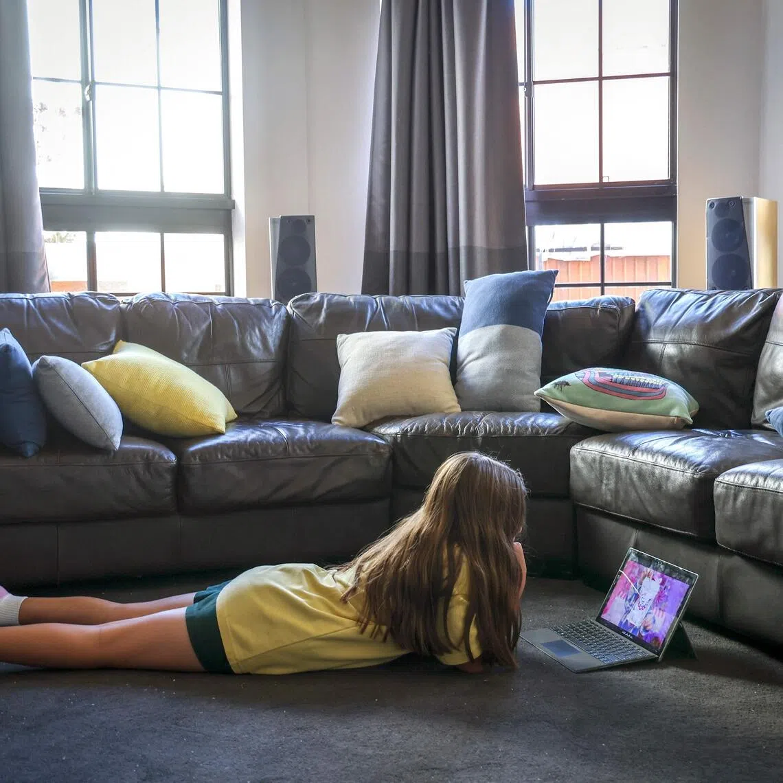 The EU council said online providers would have to assess the risk of their services being used to disseminate child sexual abuse material and take preventative measures. 