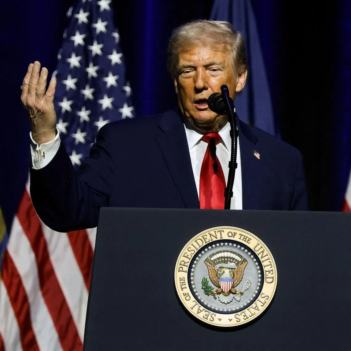 US President Donald Trump's second term has been dogged by demands to release the files related to convicted sex offender Jeffrey Epstein.