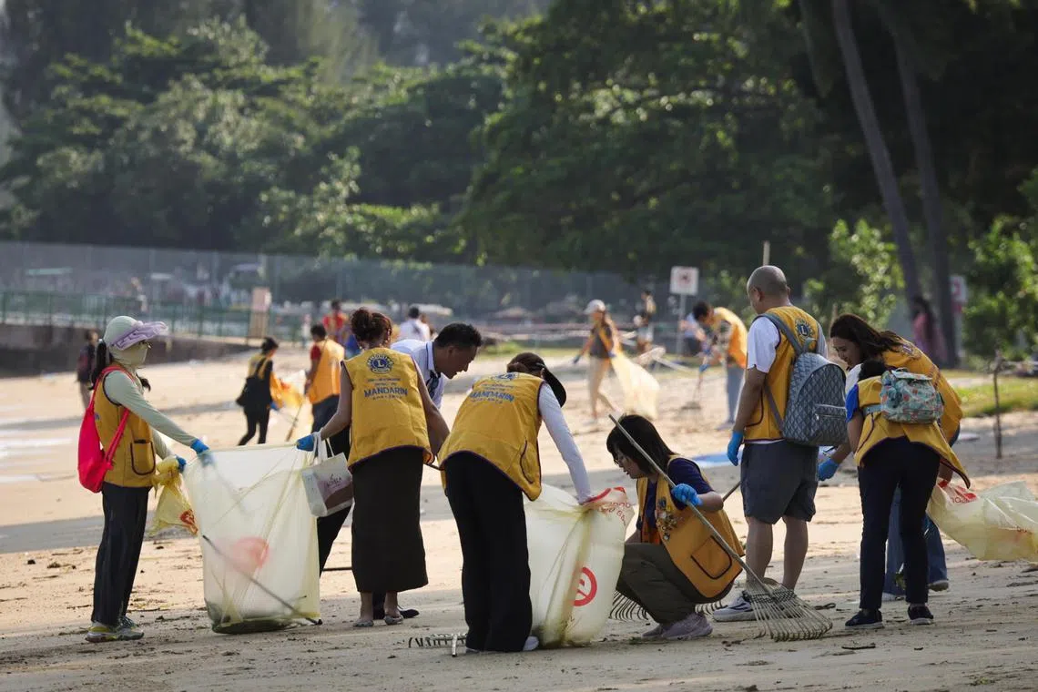 Volunteers combing the beaches and remove residual tar balls ? small, dark-coloured pieces of coagulated oil and related marine litter from the coastlines at East Coast Park beach on July 20, 2024.