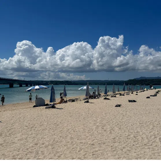 Okinawa was named one of Expedia's destinations of the year for 2026.