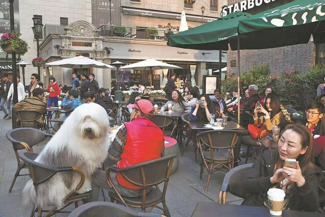 A pet owner relaxes with his dog outside a cafe in Shanghai's Xintiandi area. 