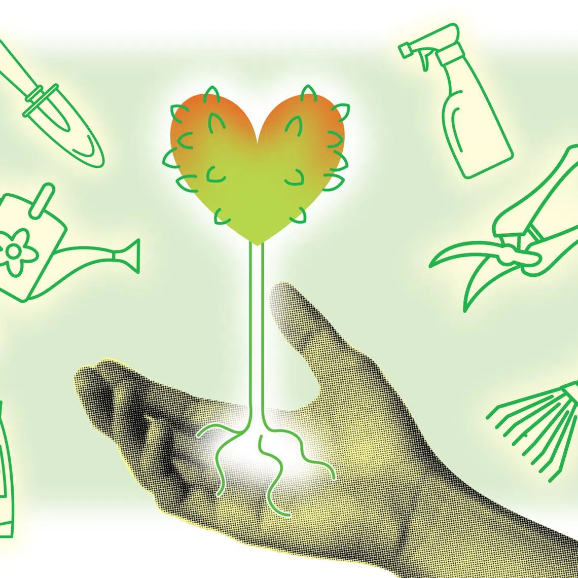 After over a year of living in Perth, the writer is beginning to appreciate the value of physical work.