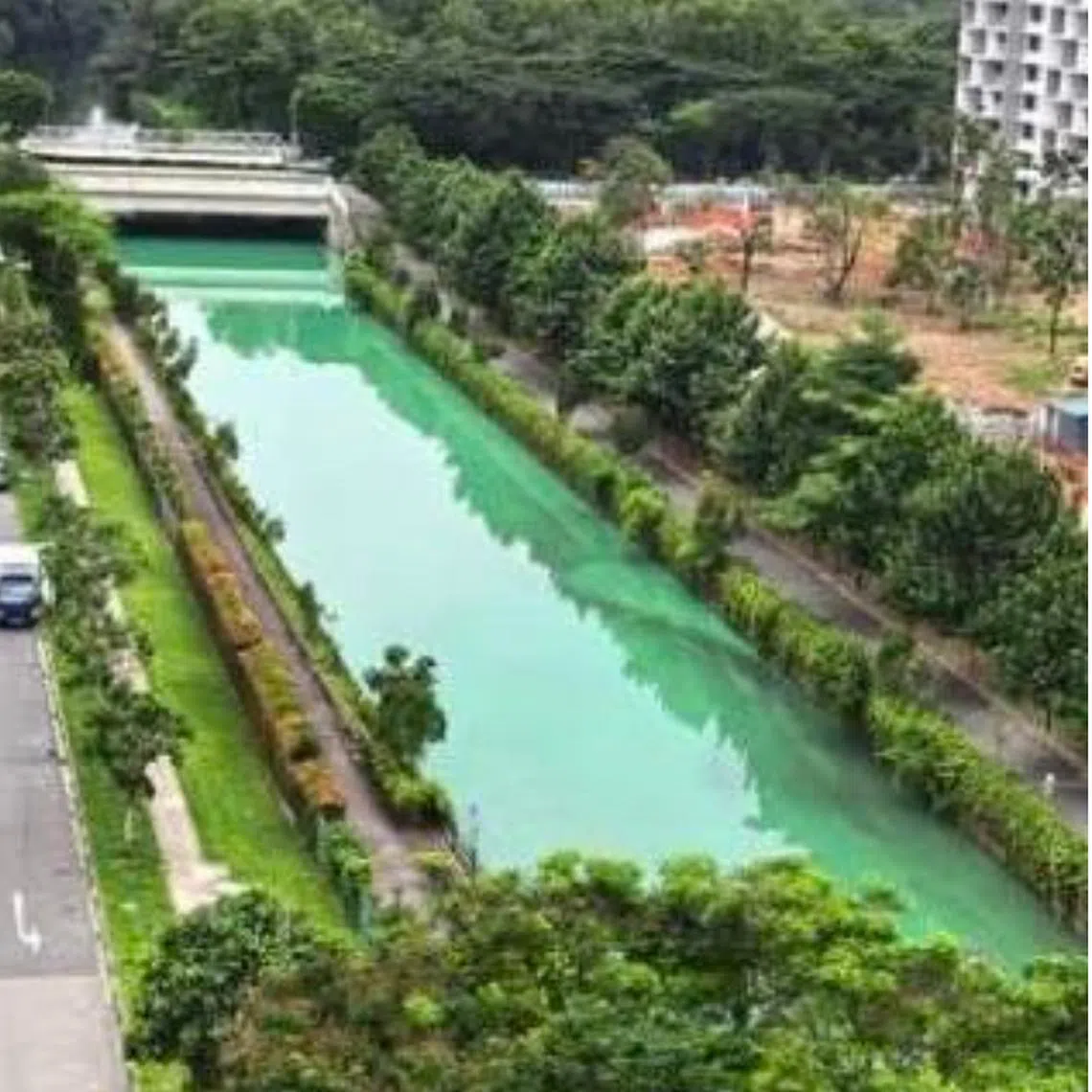 Nee Soon GRC MP Jackson Lam said that he checked with NEA after some residents noticed the discolouration in the Yishun Close canal.